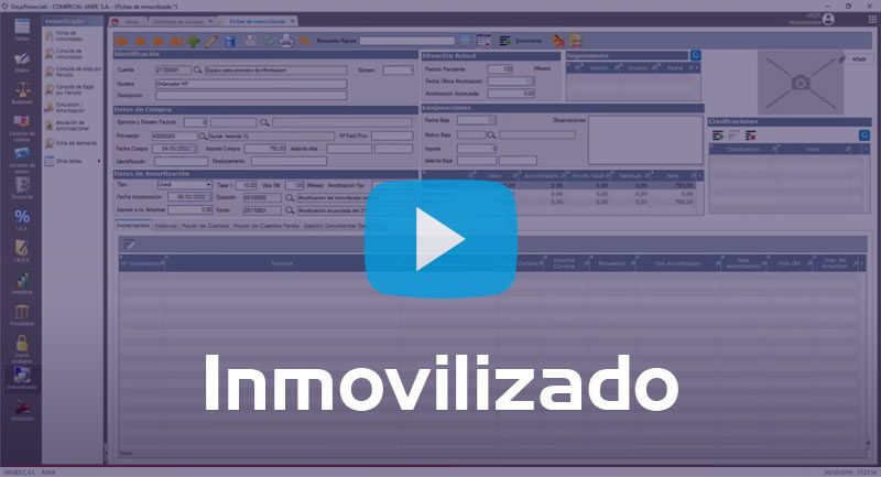OnyxFinancials - Inmovilizado